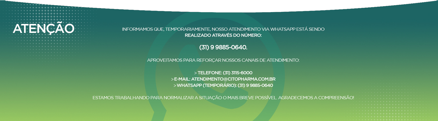 banner principal